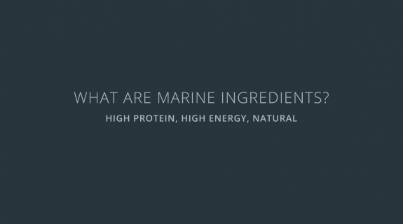What are marine ingredients?