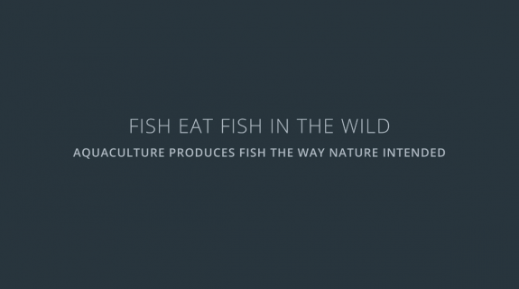 Fish eat fish in the wild