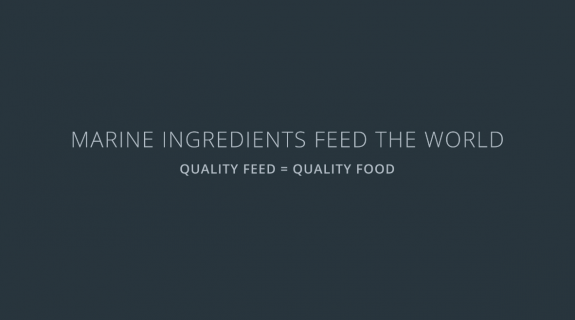 Quality feed means quality food