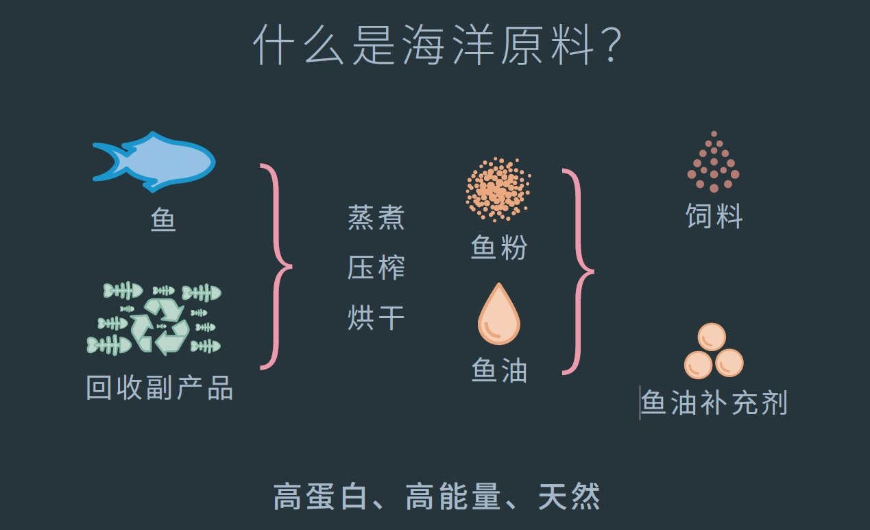 海洋原料是什么？
