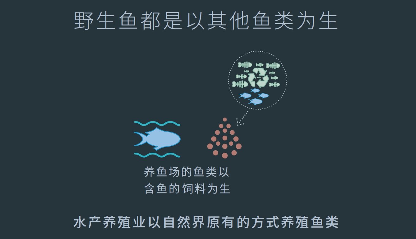 野生鱼都是以其他鱼类为生