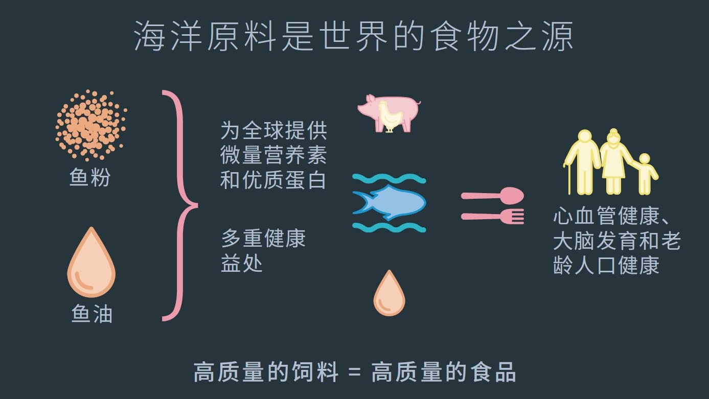 高质量的饲料 = 高质量的食品