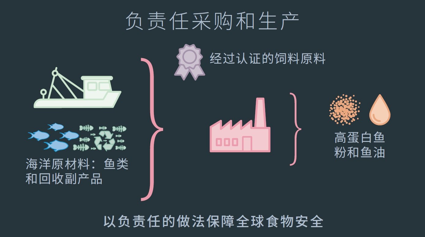 负责任地采购和生产