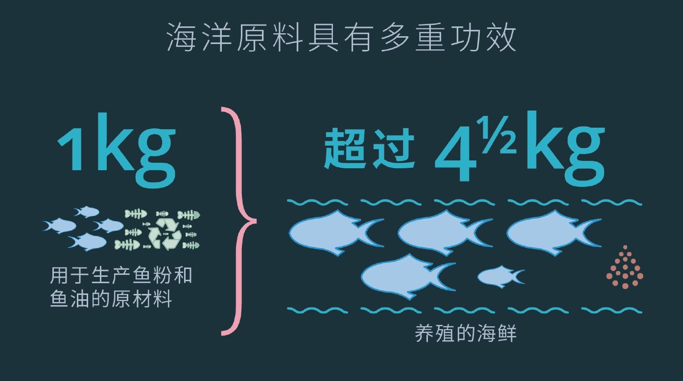 养活不断增长的人口