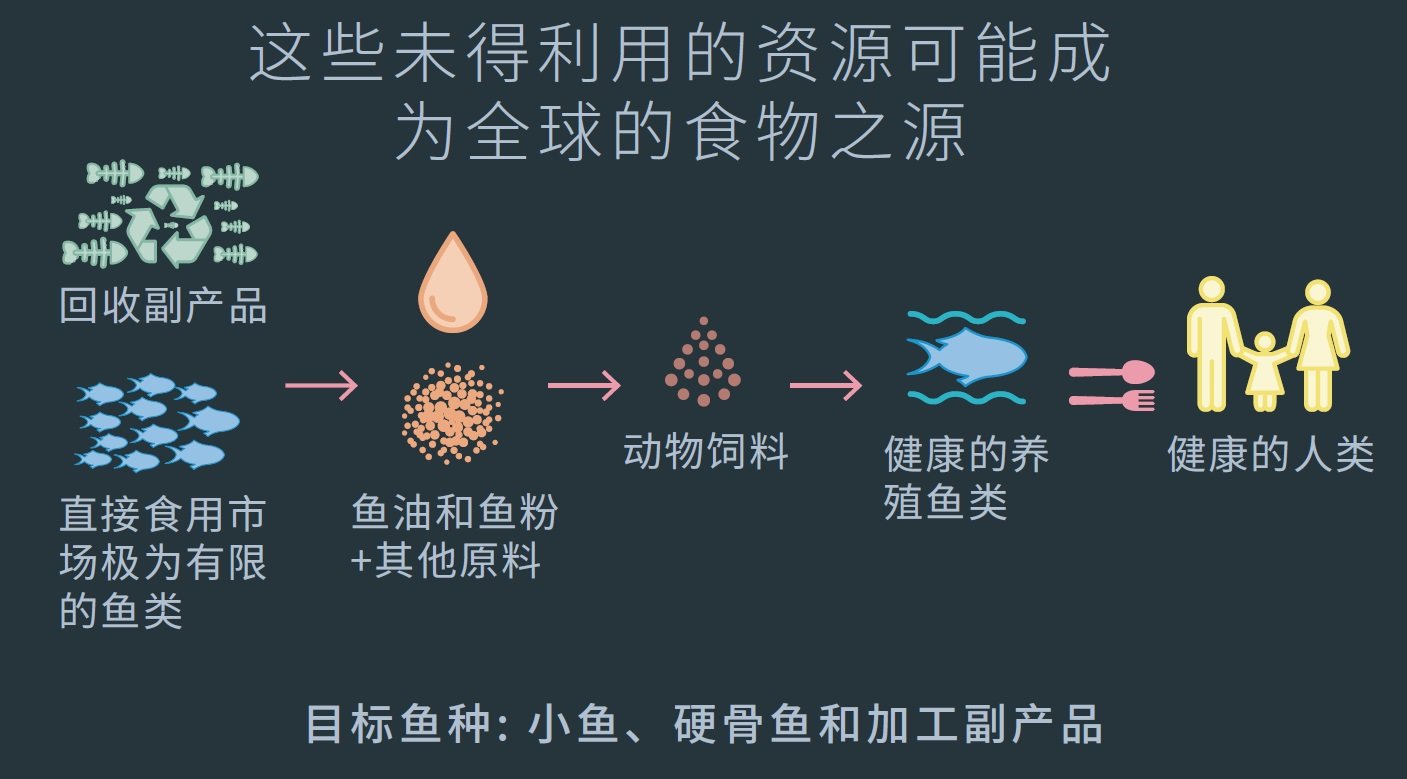 这些未得利用的资源可能成为全球的食物之源