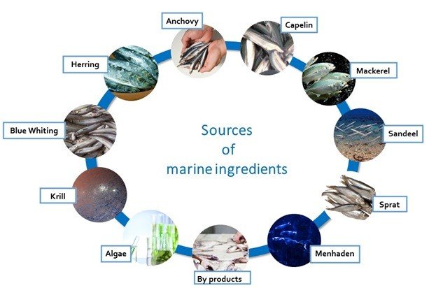 Marine ingredients