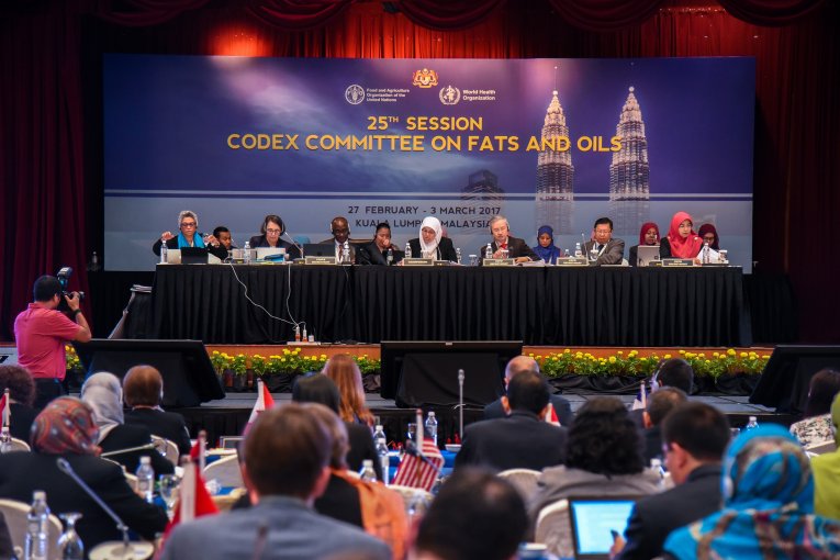 CCFO 25 Committee
