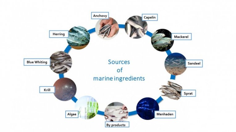 Sources of Marine Ingredients
