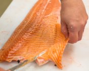Salmon